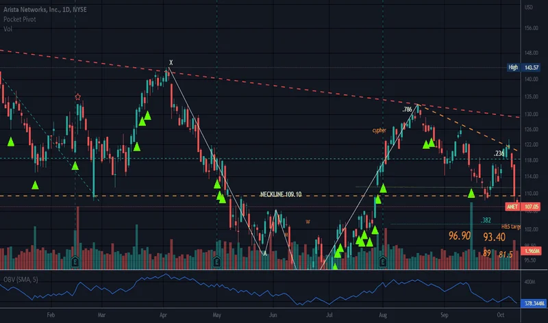 Arista Networks Stock Dive: Opportunity or Overreaction?